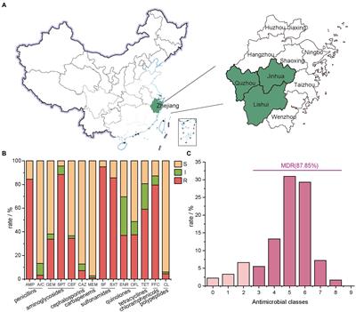 Antimicrobial resistance and genomic characterization of Escherichia coli from pigs and chickens in Zhejiang, China